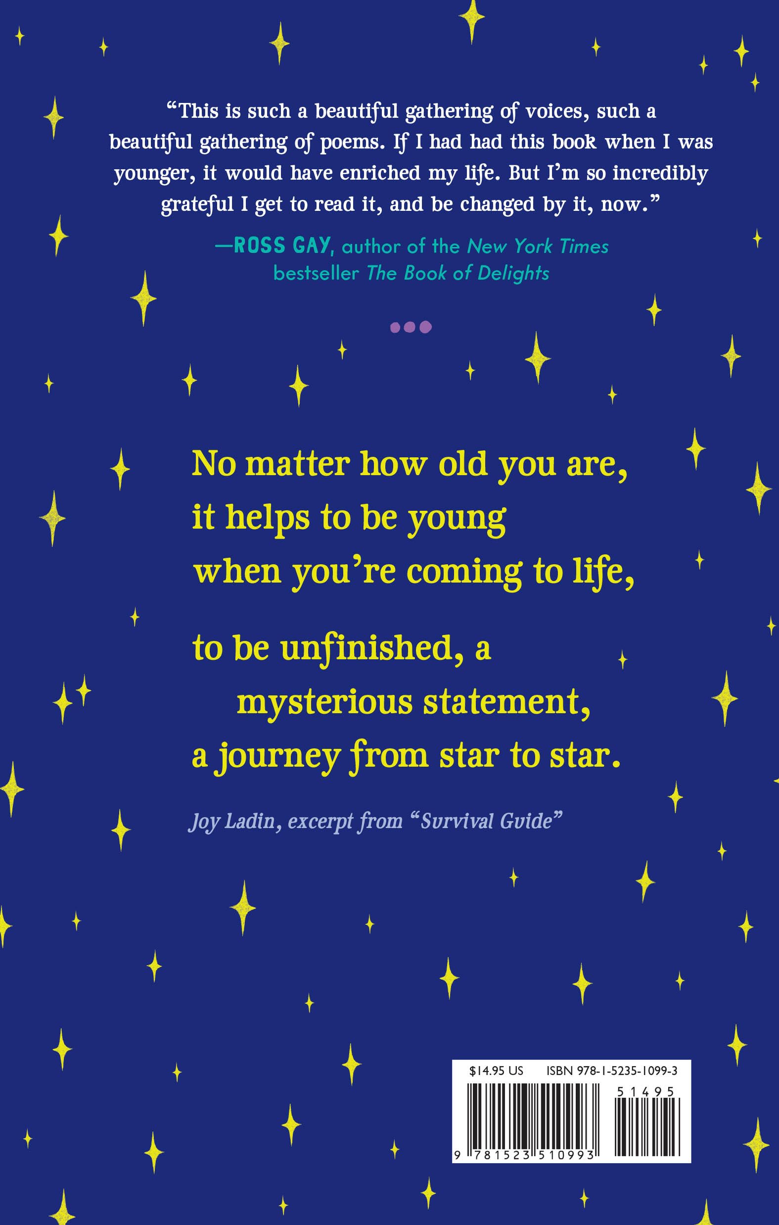 You Don't Have to Be Everything: Poems for Girls Becoming Themselves