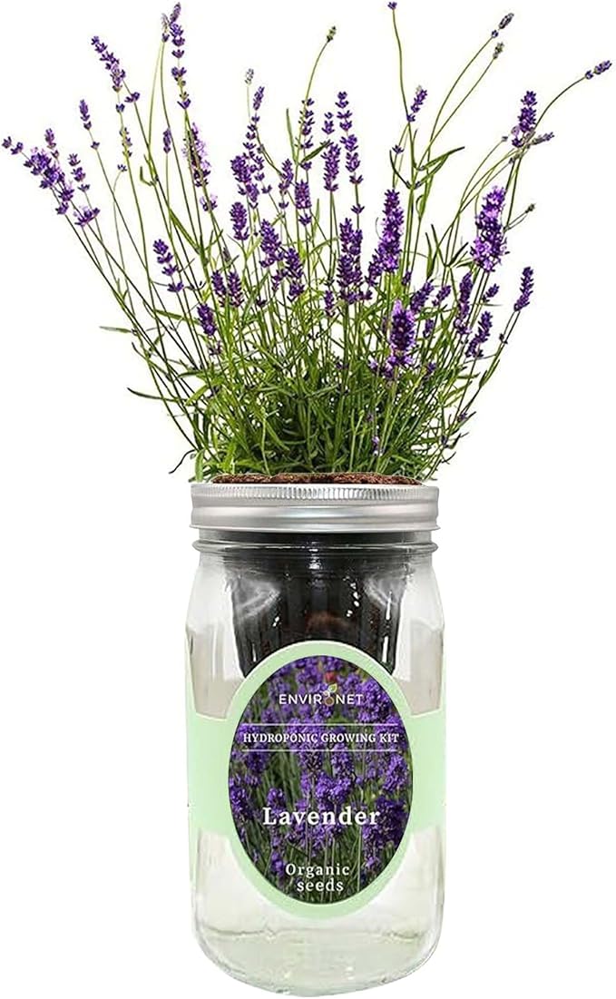 Mason Jar Herb Garden Starter Kit Indoor (LAVENDER)