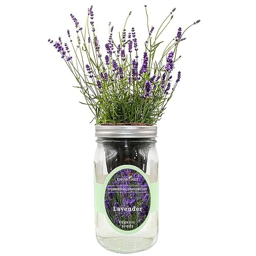 Environet Hydroponic Herb Growing Kit, Self-Watering Mason Jar Herb Garden Starter Kit Indoor, Windowsill Herbs Garden, Grow Your Own Herbs from Organic Seeds (Lavender)