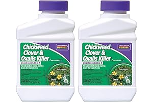 Bonide Products Chemical Chickweed, Clover and Oxalis Killer