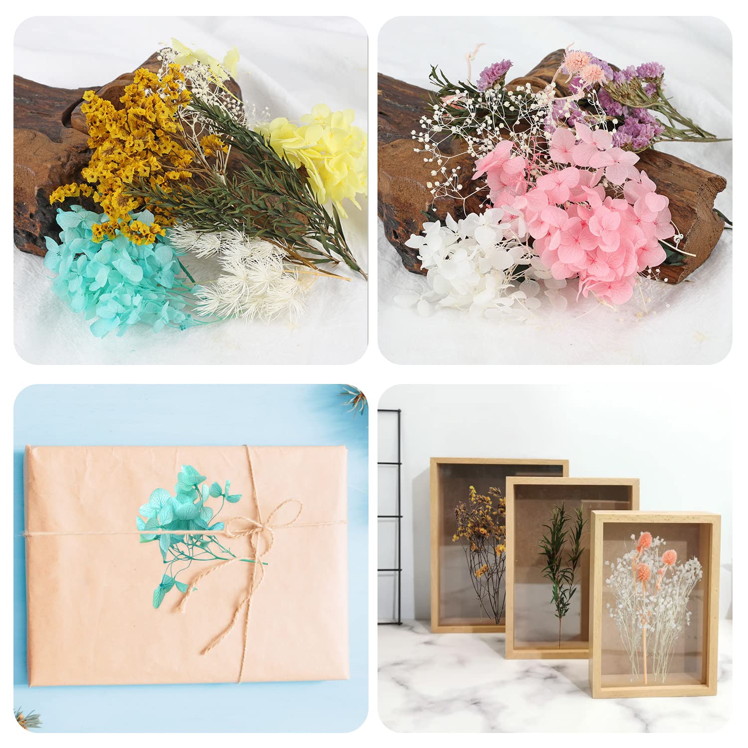 Fiori Secchi Pressati Per Fai Da Te | Per Resina, Candele E Decorazioni - Foto 3