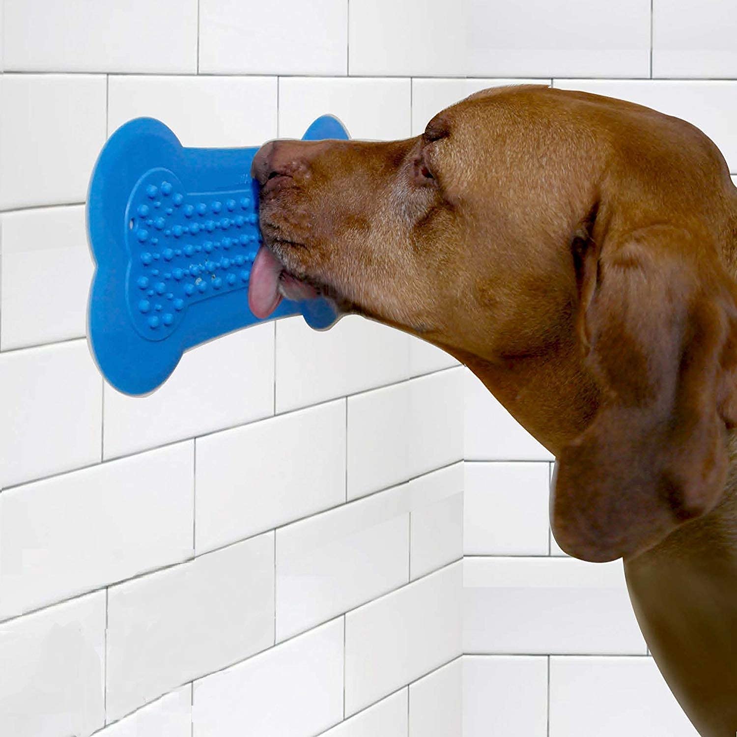 Buy Pets Empire Lick Lick Pad/Dog Washing Distraction Device/Your Dogs