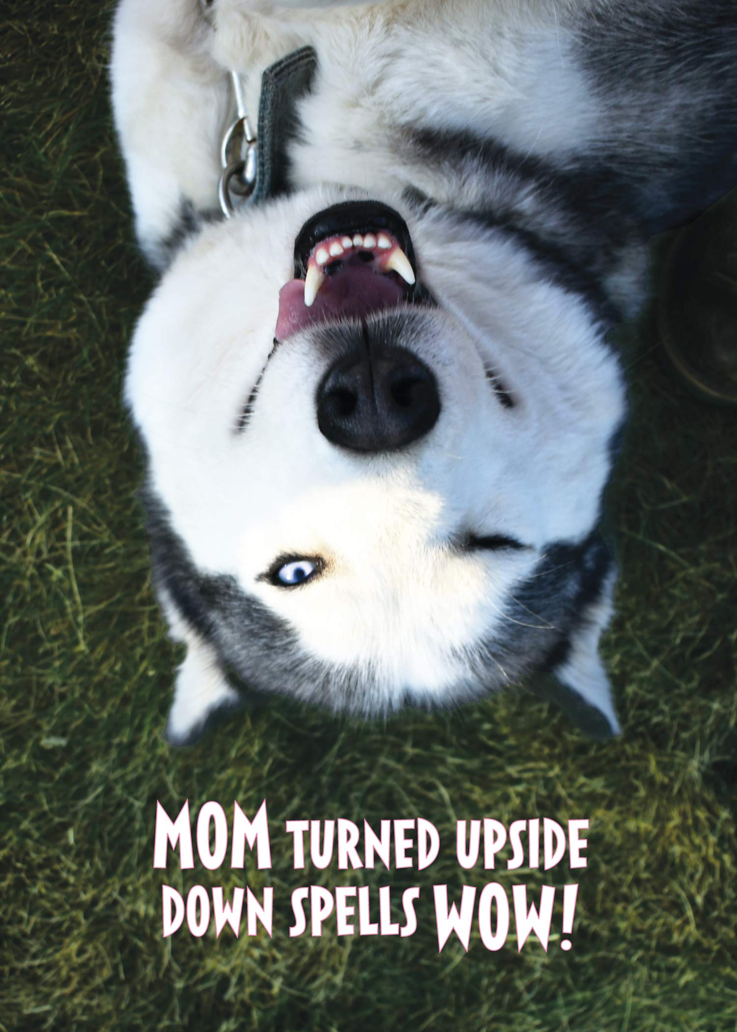 Mom Upside Down Spells Wow! You're My Wow! Mother's Day Greeting Card