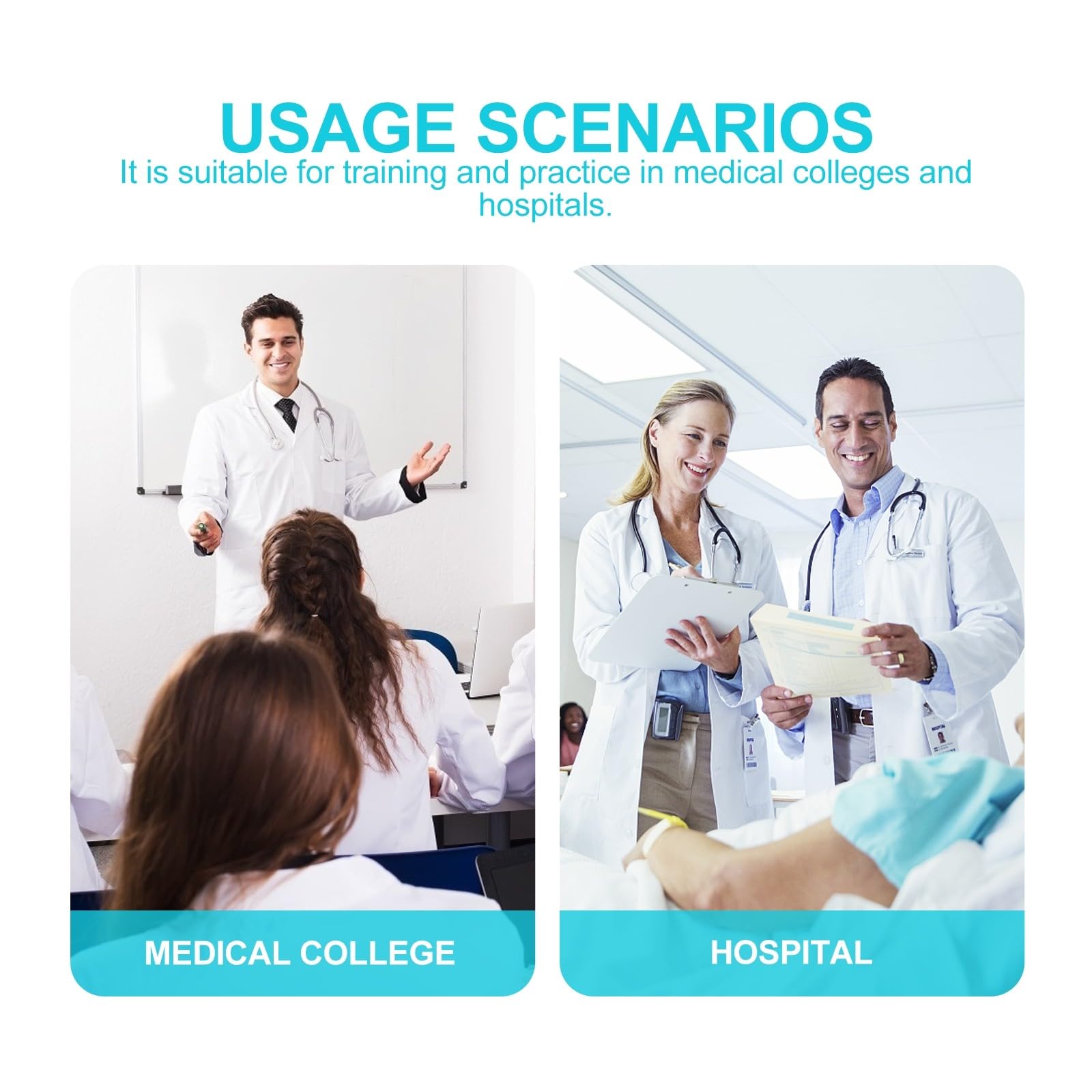 NUOBESTY Modèle Anatomique de Vessie Enseignement Portable Matériel Sûr pour Cours de Physiologie Humaine
