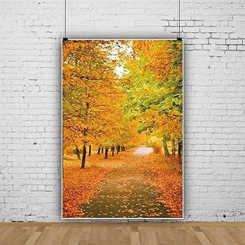 背景布　【　秋B　】　サンプル　ニューボーンフォトなどに♪ 背景布 【 秋B 】 サンプル ニューボーンフォトなどに♪ 背景布 【 秋B