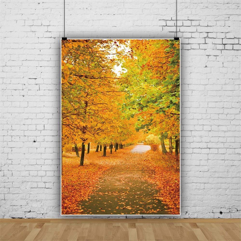 Amazon | Qinunipoto 撮影用 背景布 秋 落ち葉の紅葉撮影 背景 背景幕