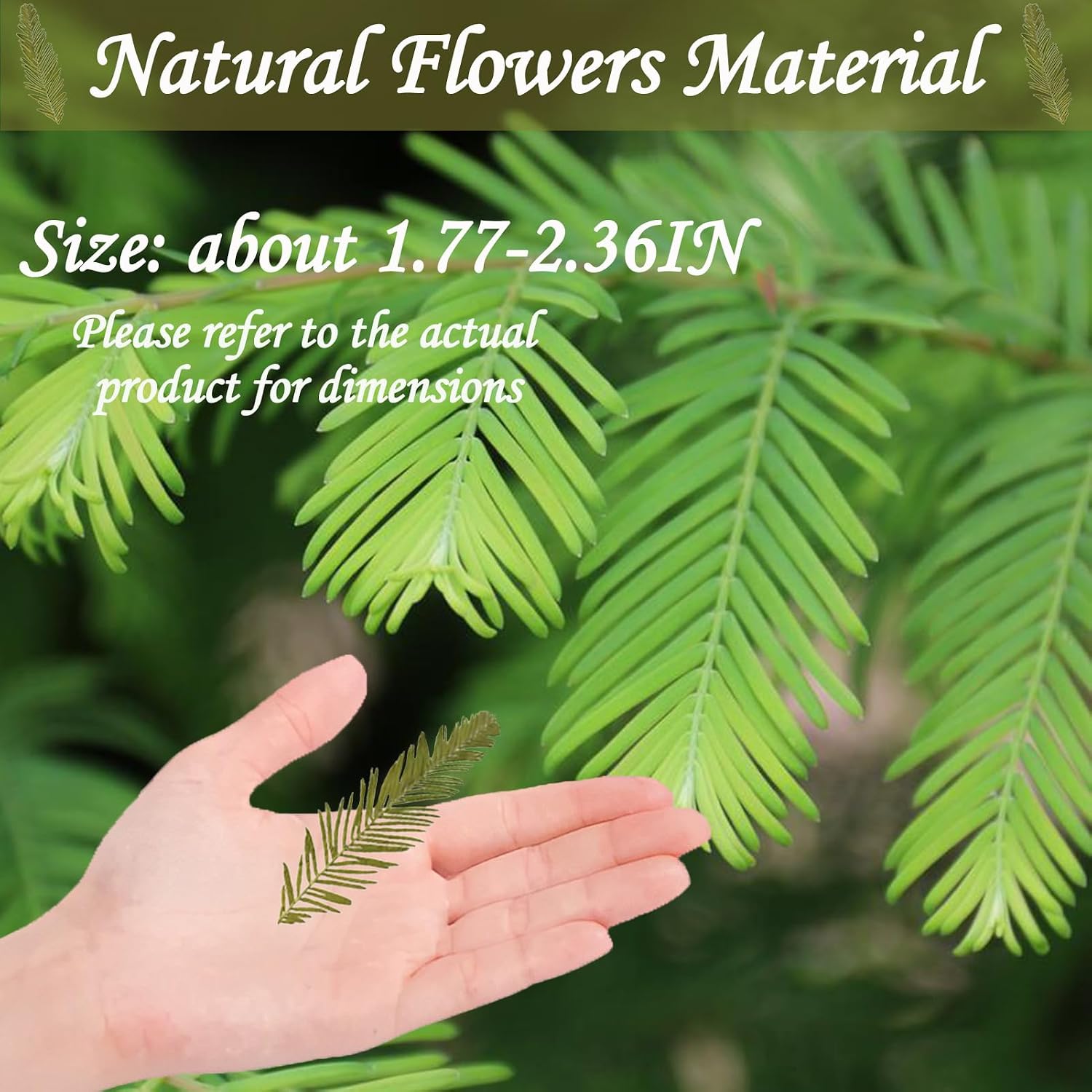 Natural Dried Leaves Metasequoia for Resin Crafts Embellishments, 42PCS Pressed Leaves for Resin DIY Jewellery Ornament Crafts Cake Candle Making Phone Case Home Decor