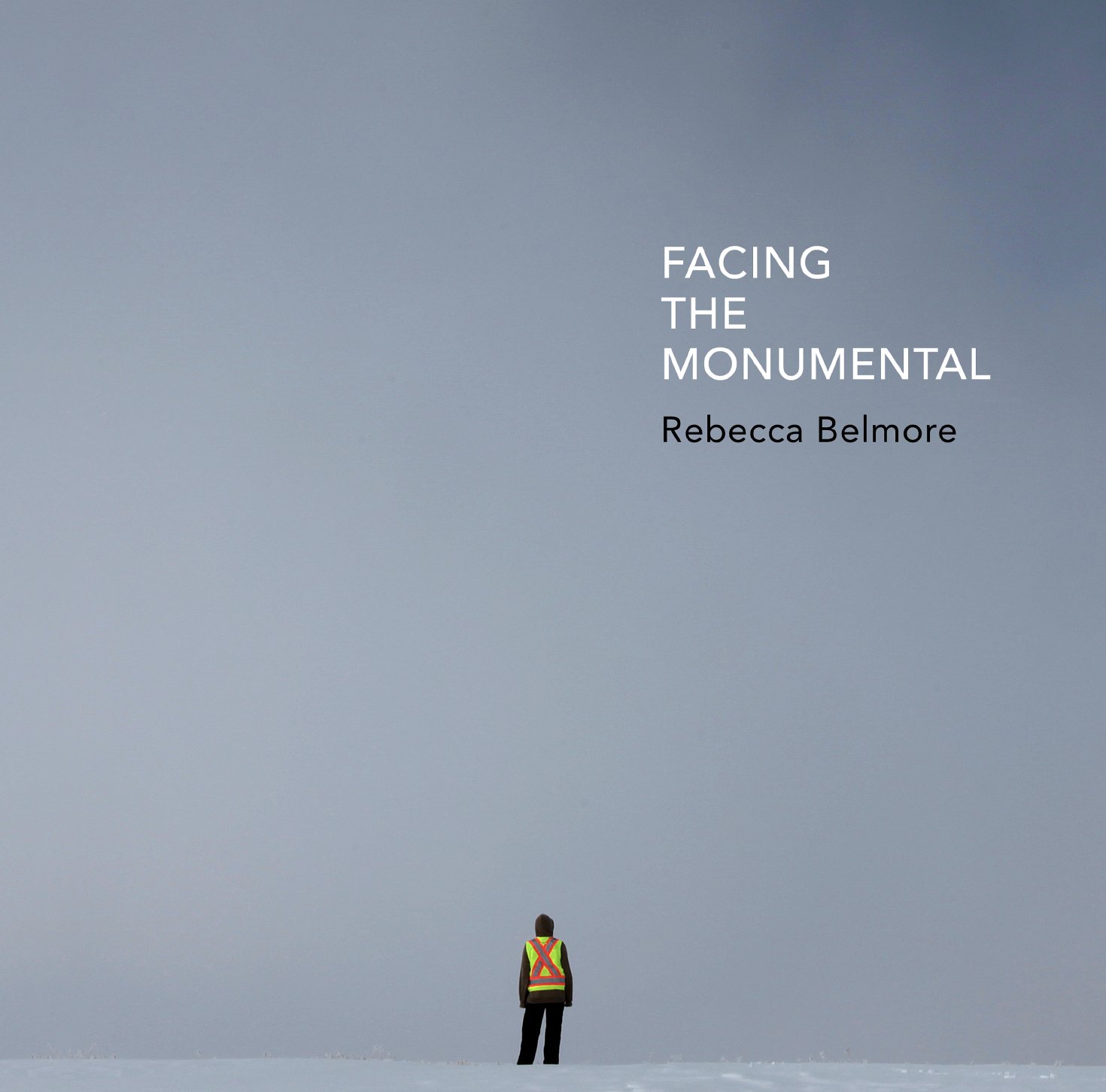Facing the Monumental catalogue exposition monographie sculpture contemporaine