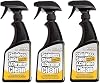 Flitz Stainless Steel & Chrome Clean - 16oz Bottle, USA-Made Stainless Steel Cleaner Spray for Appliances - Grill, Fridge, Sink Stain Remover - Also Works on Aluminum Surfaces 3 Pack