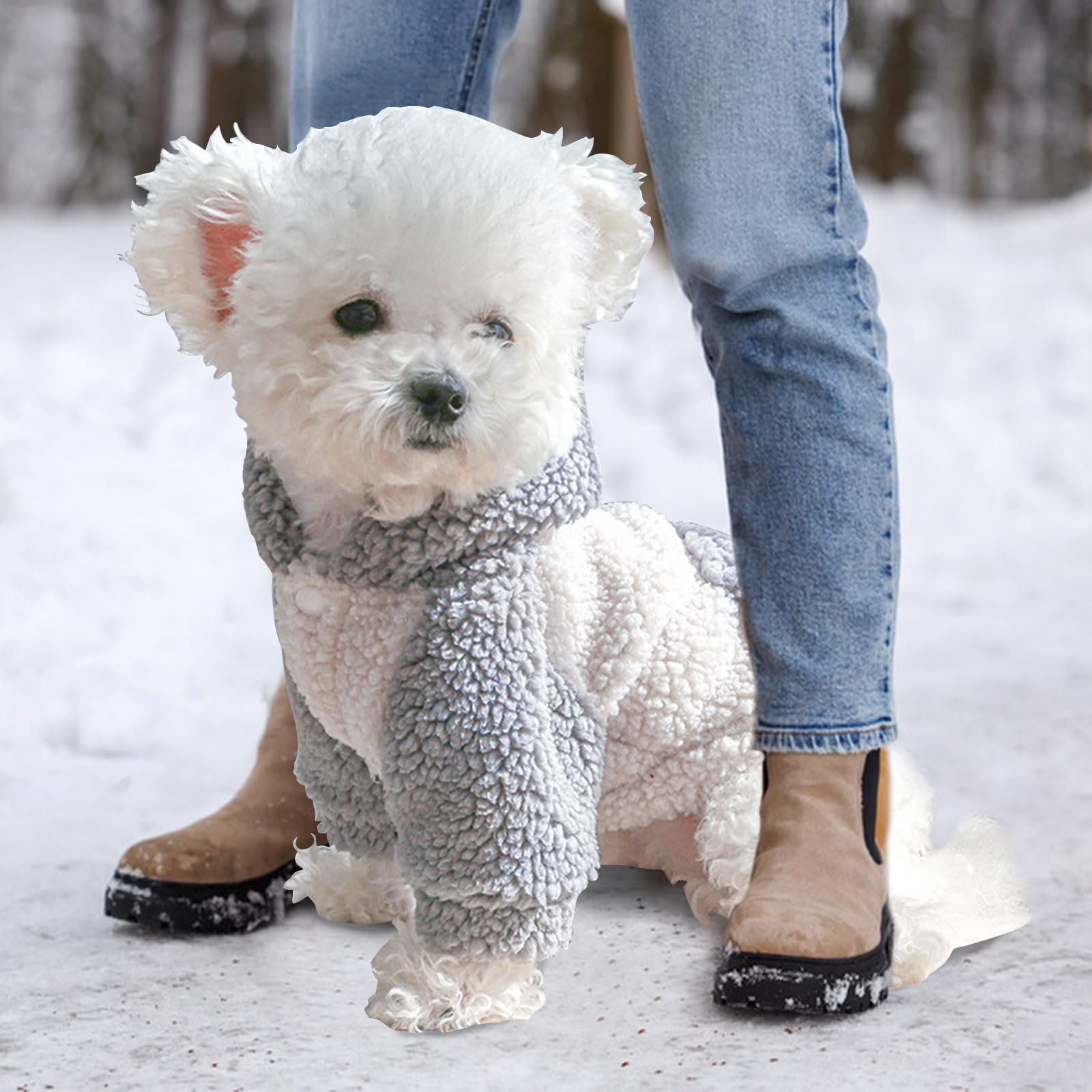 Galatée Abrigo de Invierno para Perros Pequeños, Ropa Bonita para Mascotas, Chaqueta Cálida para Cachorros, Sudaderas con Capucha (L, Gris)