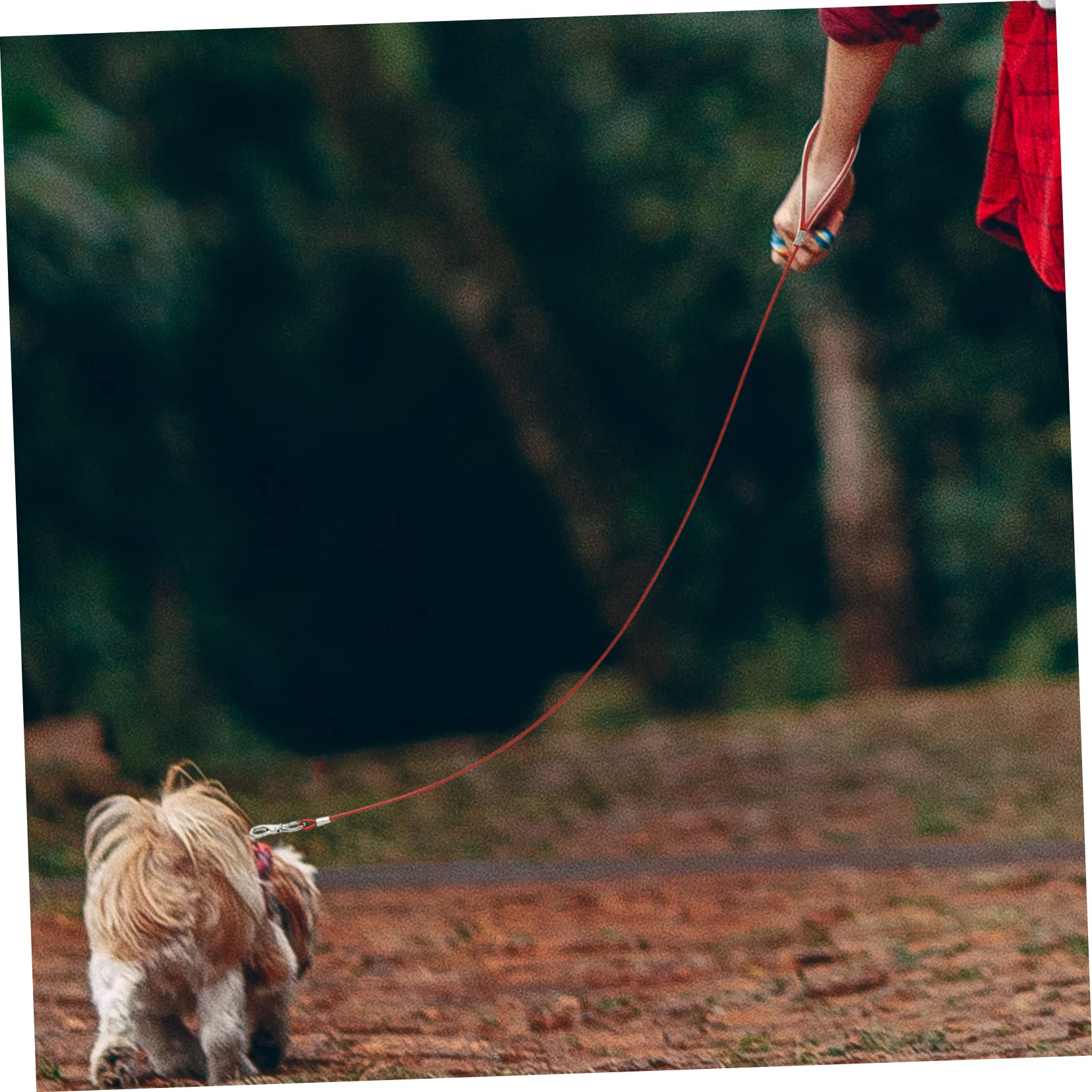 INOOMP 4pezzi Guinzaglio Per Cani Acciaio Inossidabile Resistente Ai Morsi Per Passeggiate e Attività All Aperto Design Elegante e Leggero