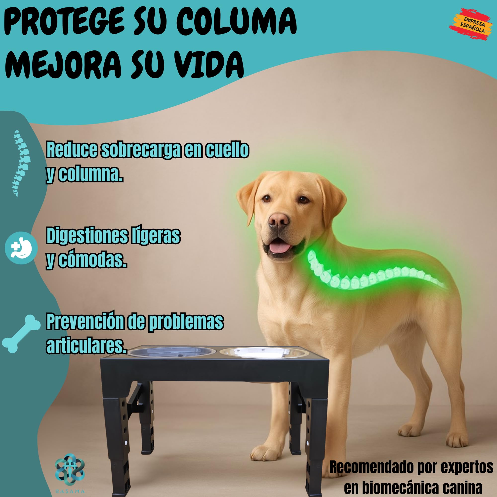 Comedero Perro Elevado 5 Alturas, con 2 Platos de Acero y 1 comedero antivoracidad Perro + 1 Pelota Perros interactiva + 1 Rollo de Bolsas para excrementos| Apto para Todas Las Razas, Edades
