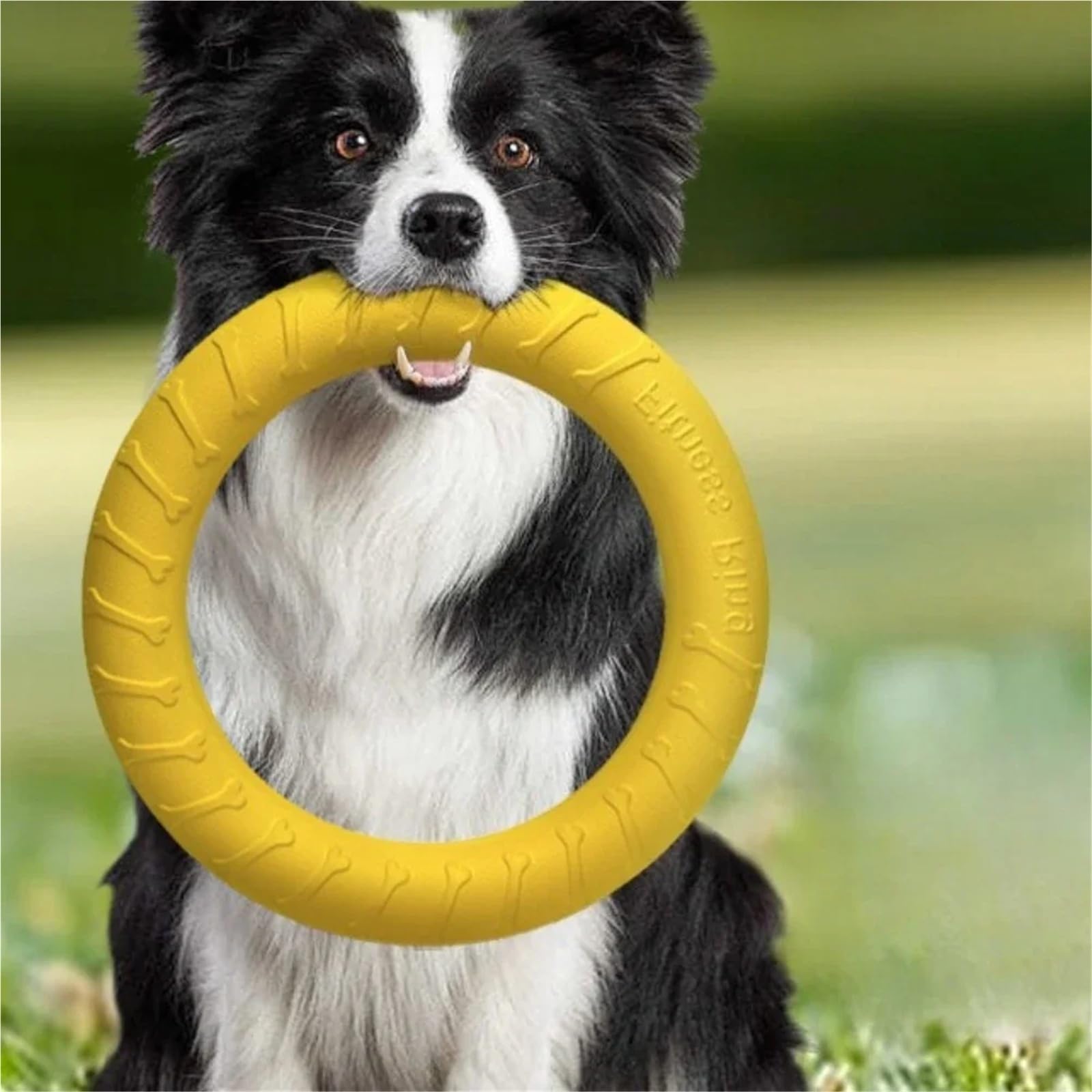 Anillo de entrenamiento para perros de juguete para perros al aire libre, agresivo, duradero, masticadores de mascotas, juguetes de búsqueda, disco volador, anillo flotante para cachorros grandes y