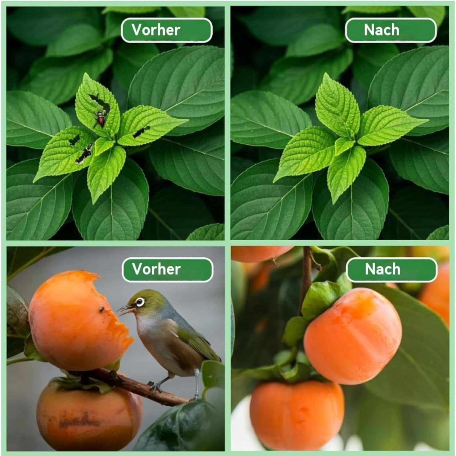 Red de protección para árboles frutales, malla antipájaros con cierre de cremallera y cordón para proteger árboles frutales, arbustos y flores de plagas y pájaros.