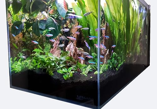 Miniatura 2 de Lifegard Aquatics Kit de acuario de cristal estilo península de 7.43 galones con filtro lateral integrado, calentador, luz LED y almohadilla de