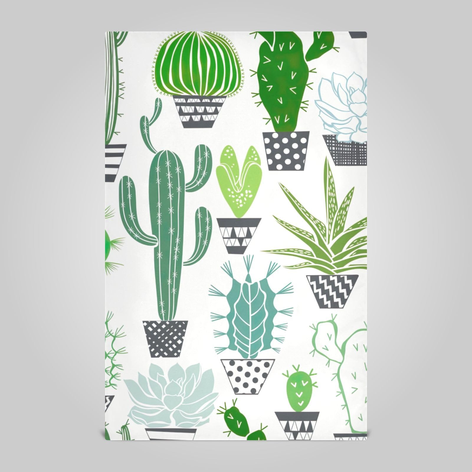Set Di 2 Strofinacci Da Cucina In Cotone Con Motivo Cactus - DII Urban Oasis 45,7x71,1 Cm - 3