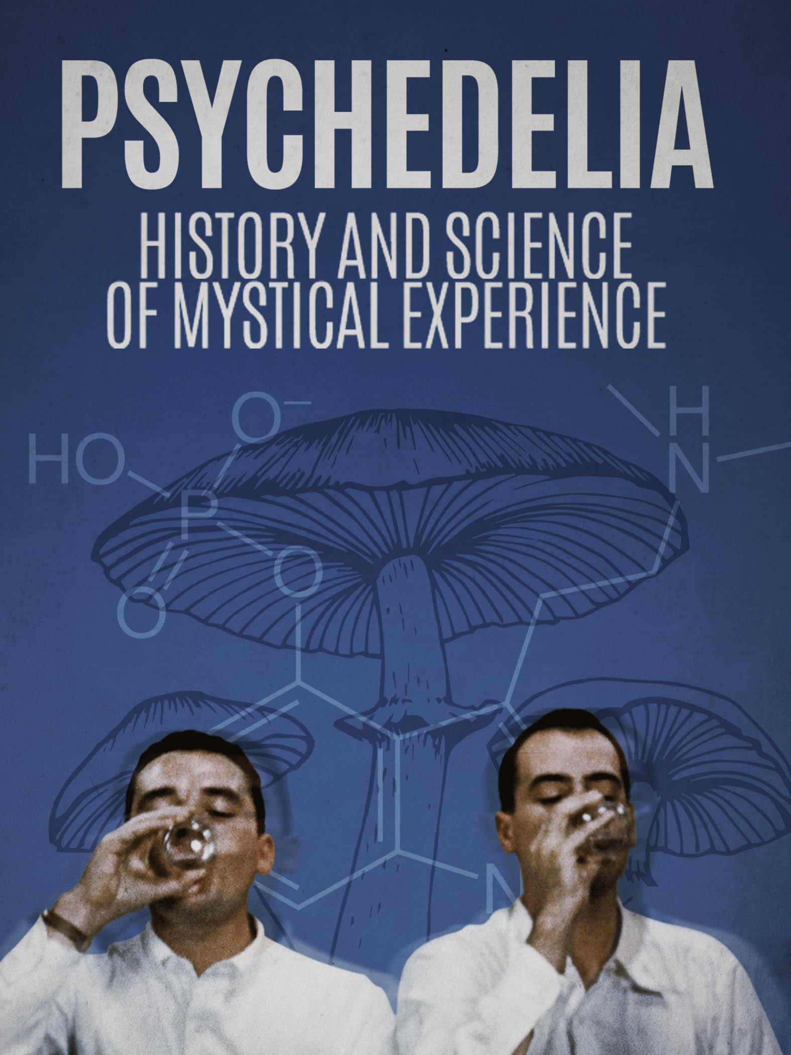 Psychedelia: History and Science of Mystical Experience