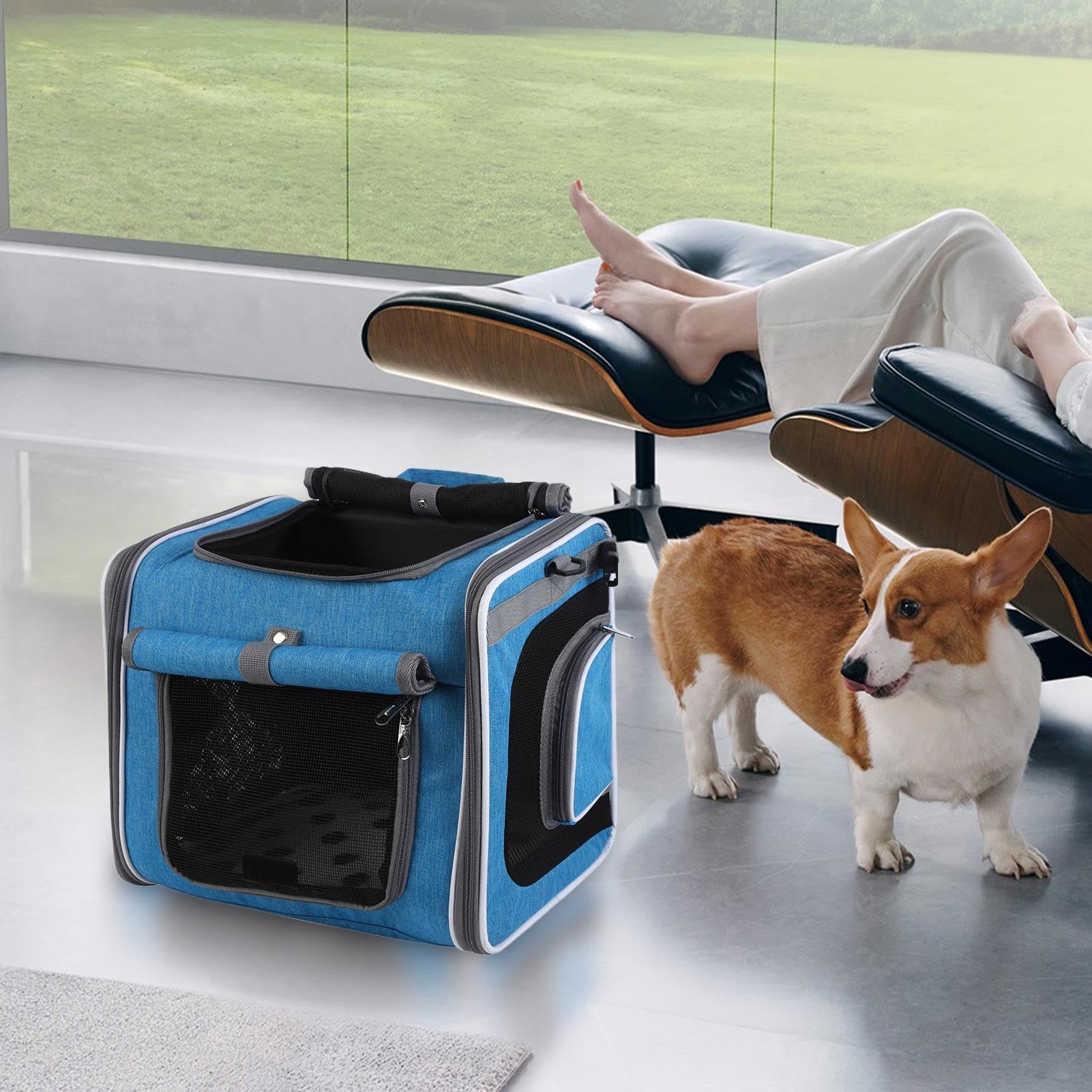 Cesta para Perro En Bicicleta Transportín Ciclista para Mascotas | Mochila Ajustable Con Ventilación Para Excursiones Y Paseos