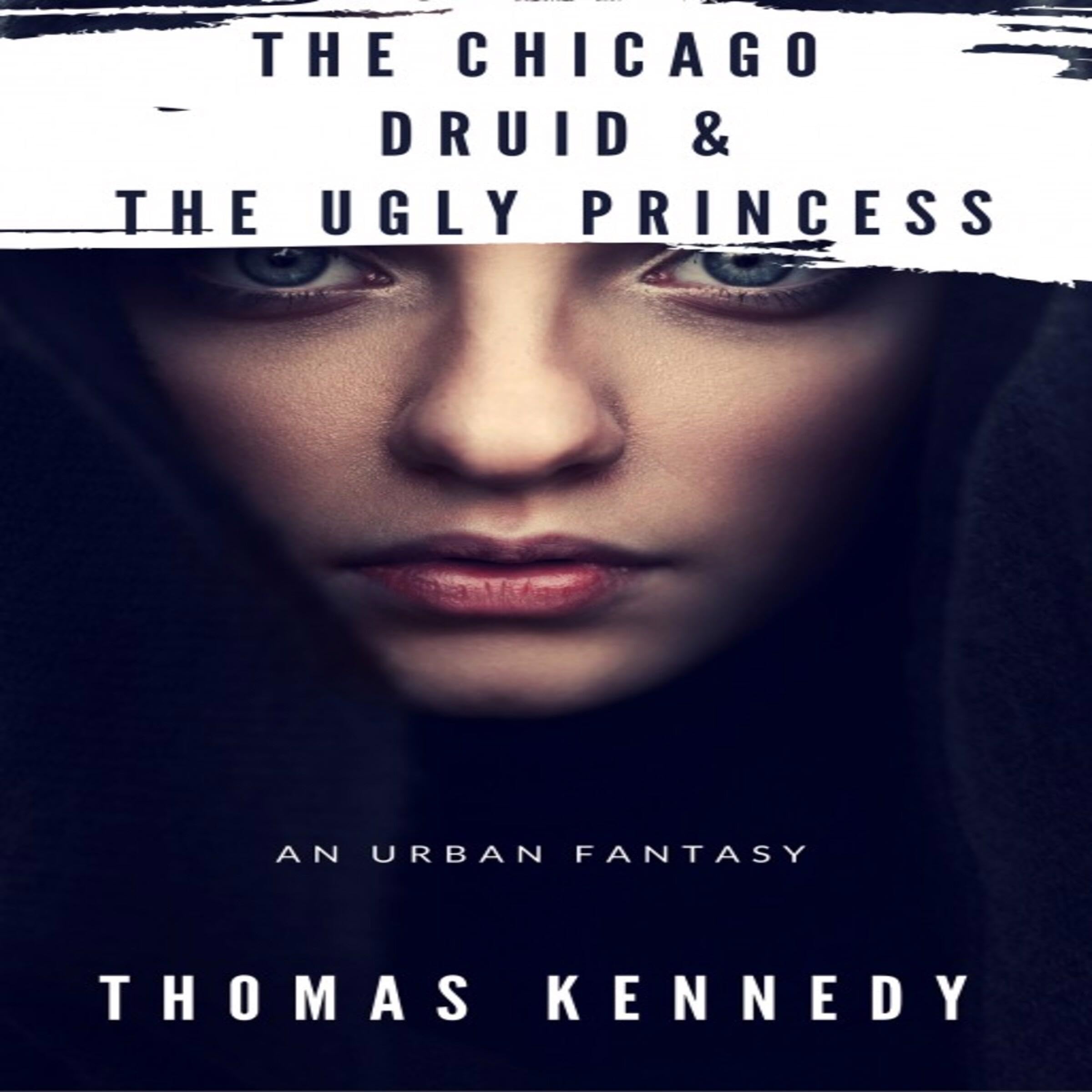 Cover art for The Chicago Druid and the Ugly Princess