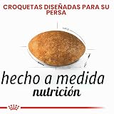 Ver la foto 4