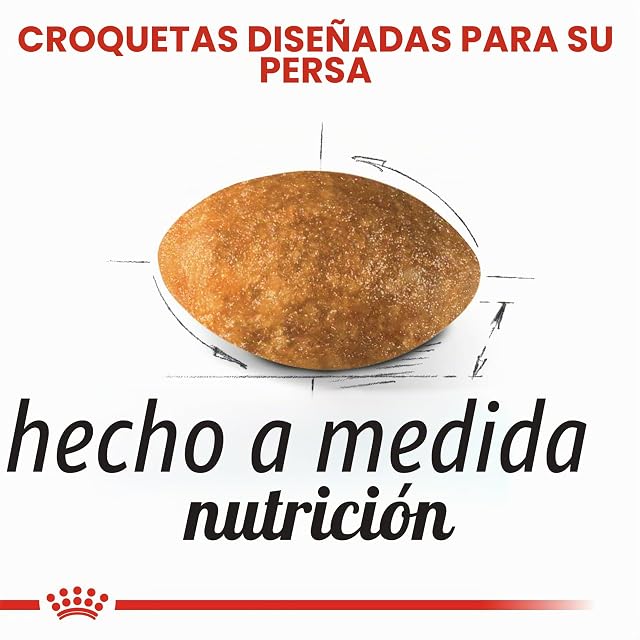 Foto 4 de 7 de Royal Canin Persian Secco Gato kg. 10 comederos para Gatos en Forma de croquetas, Multicolor, único