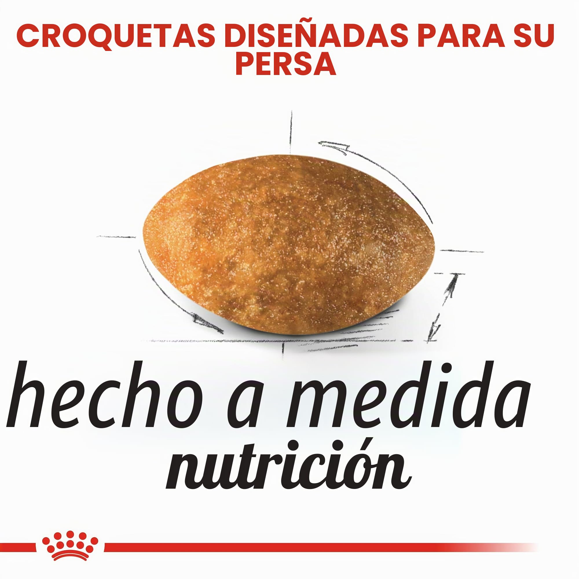 Royal Canin Persian Secco Gato kg. 10 comederos para Gatos en Forma de croquetas, Multicolor, único