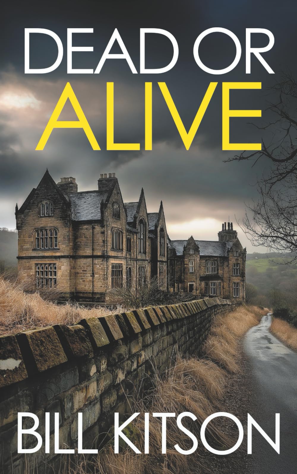 DEAD OR ALIVE an addictive and heart-pounding British crime thriller (Detective Mike Nash)