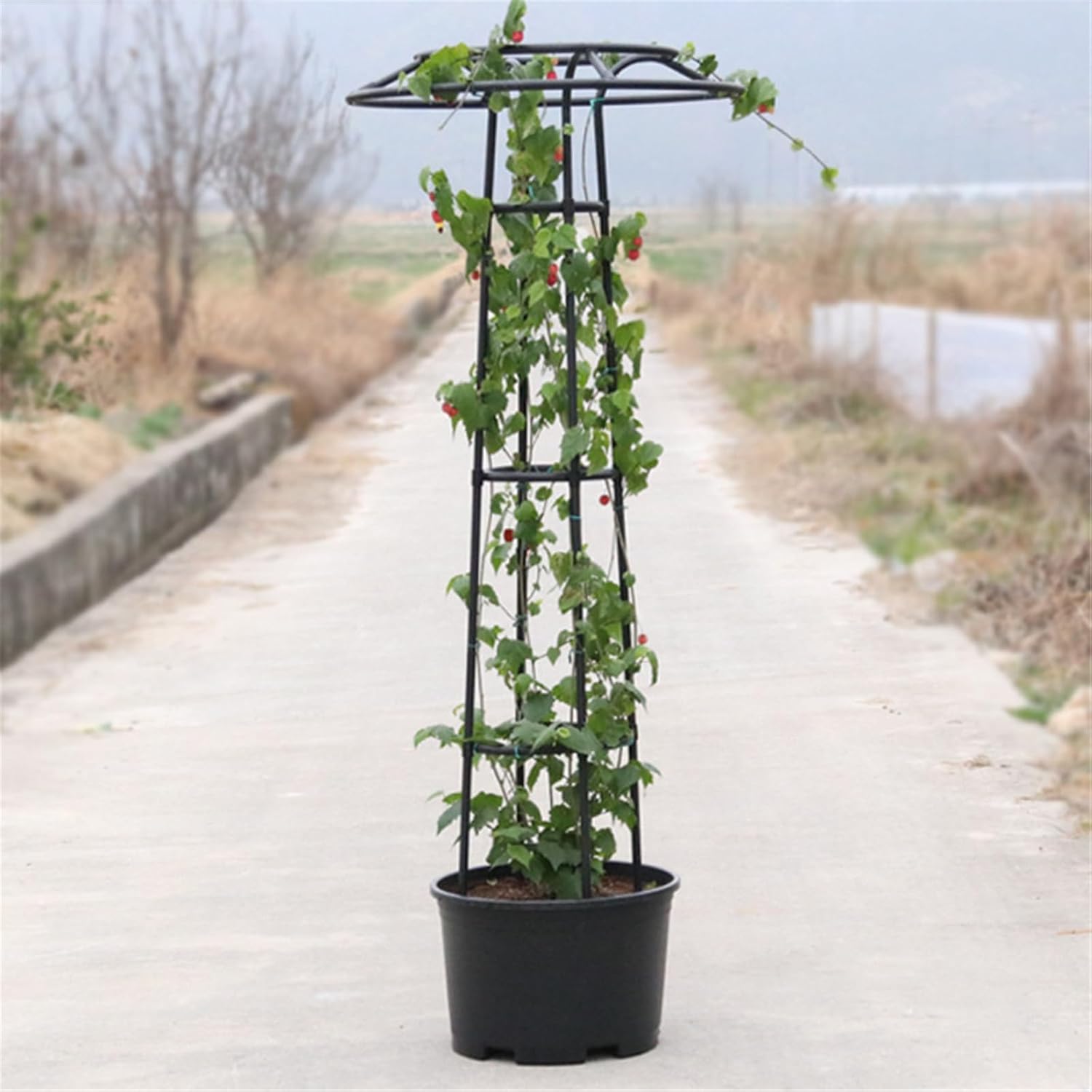 Garden Trellises for Climbing Plant Metal Vine Plant Climbing Flower Pots Easy Install