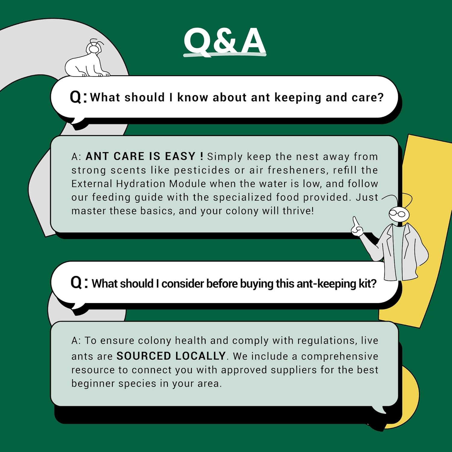 All-in-One Underground House Starter Kit – Complete Ant Farm Habitat for Ant Colony, Integrated Nest, and Feeding Area – Professional Formicarium for Kids & Adults – (No Ants Included)