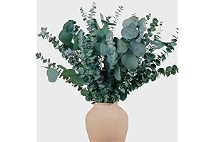 22 Pcs Silver Dollar & Eucalyptus Bundle