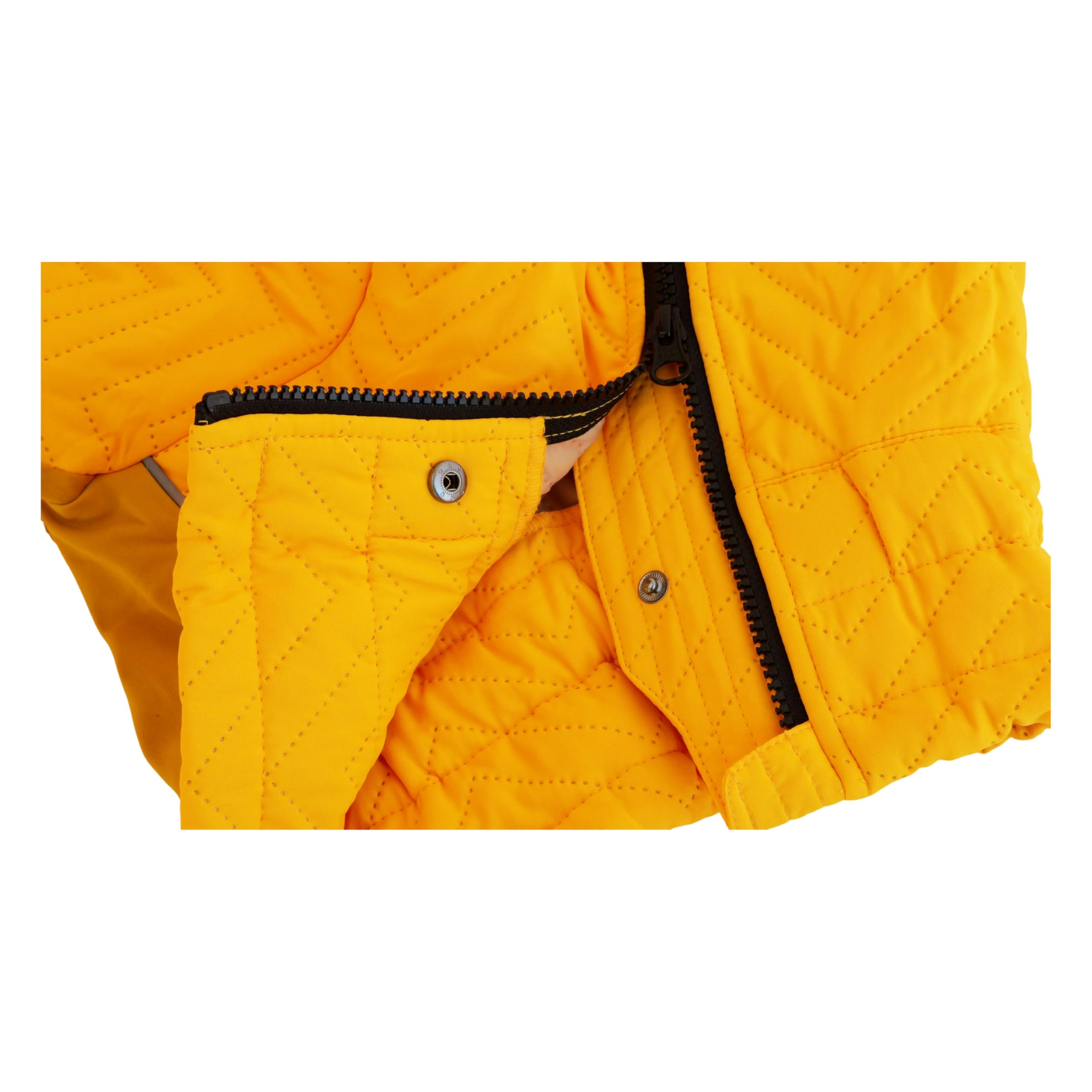 Abrigo cálido para perro, chaleco de perro de doble capa, 4 patas cubiertas, resistente al viento, impermeable, reflectante, chaleco cálido para perro, patinaje al aire libre, disfraz de perro