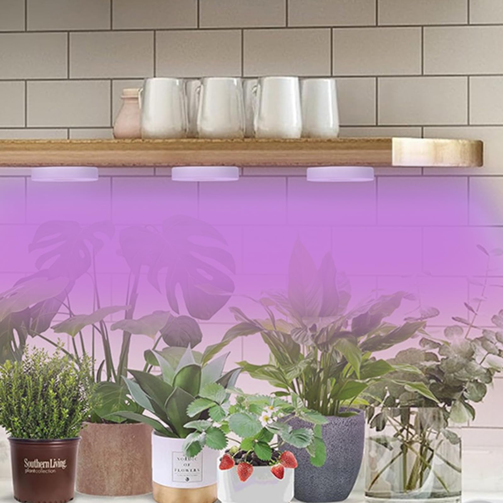 Lampe De Croissance Pour Plantes D'intérieur - Spectre Complet, Minuterie 3/9/12h, 10 Niveaux De Luminosité - Éclairage LED UV Pour Légumes, Fleurs