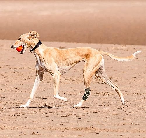 Miniatura 2 de Soporte de articulación para perros medianos y grandes, envoltura de compresión con correas y tiras de resorte de metal que protege heridas, cura,