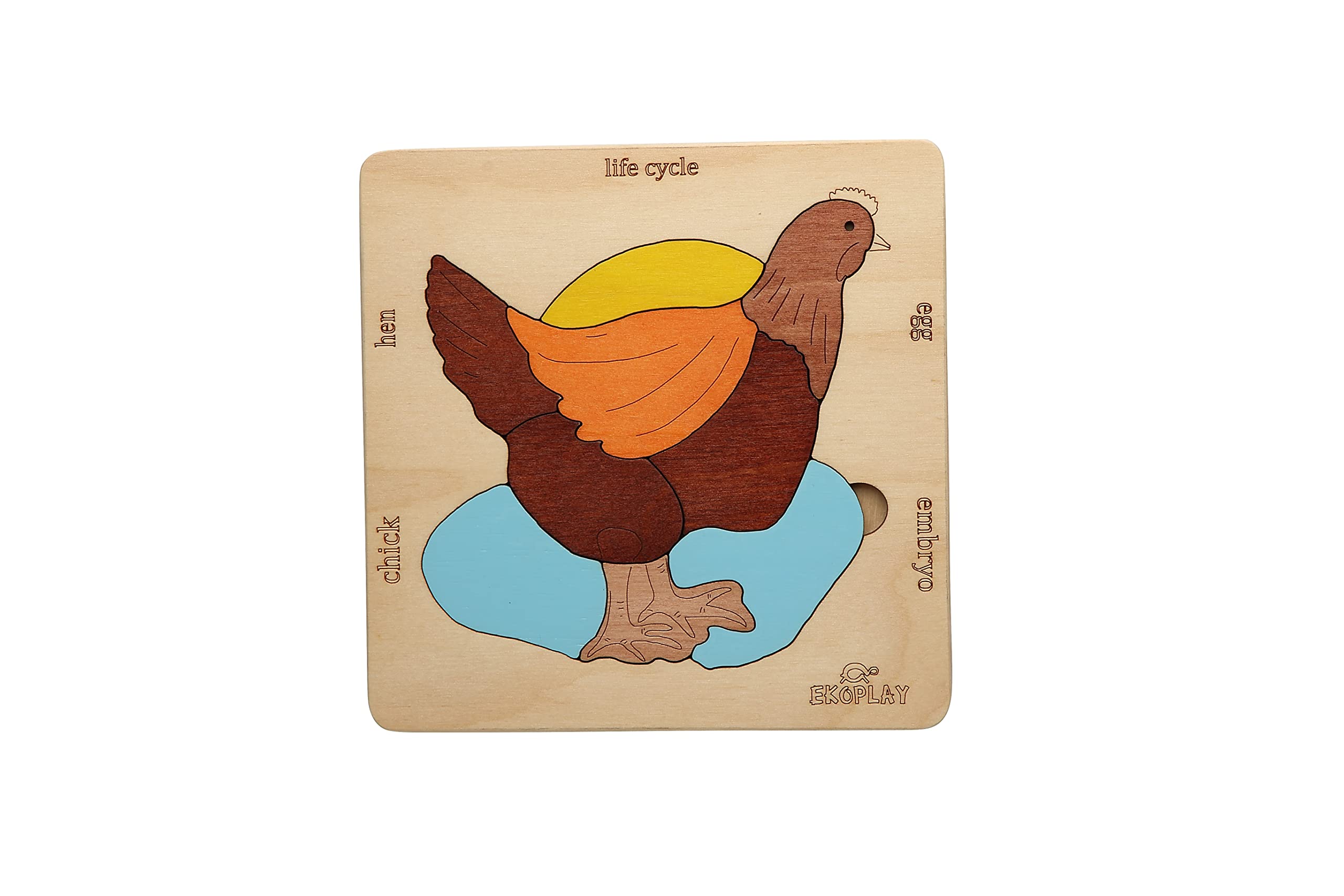 Ekoplay Life Cycle Of A Chicken | 20 Piece Wooden Jigsaw Puzzle For Kids | For Preschool Kids, Learning Educational Toys Gifts For Boys & Girls 3+ Years (B0BKGL51X8) Amazon Price History, Amazon Price Tracker