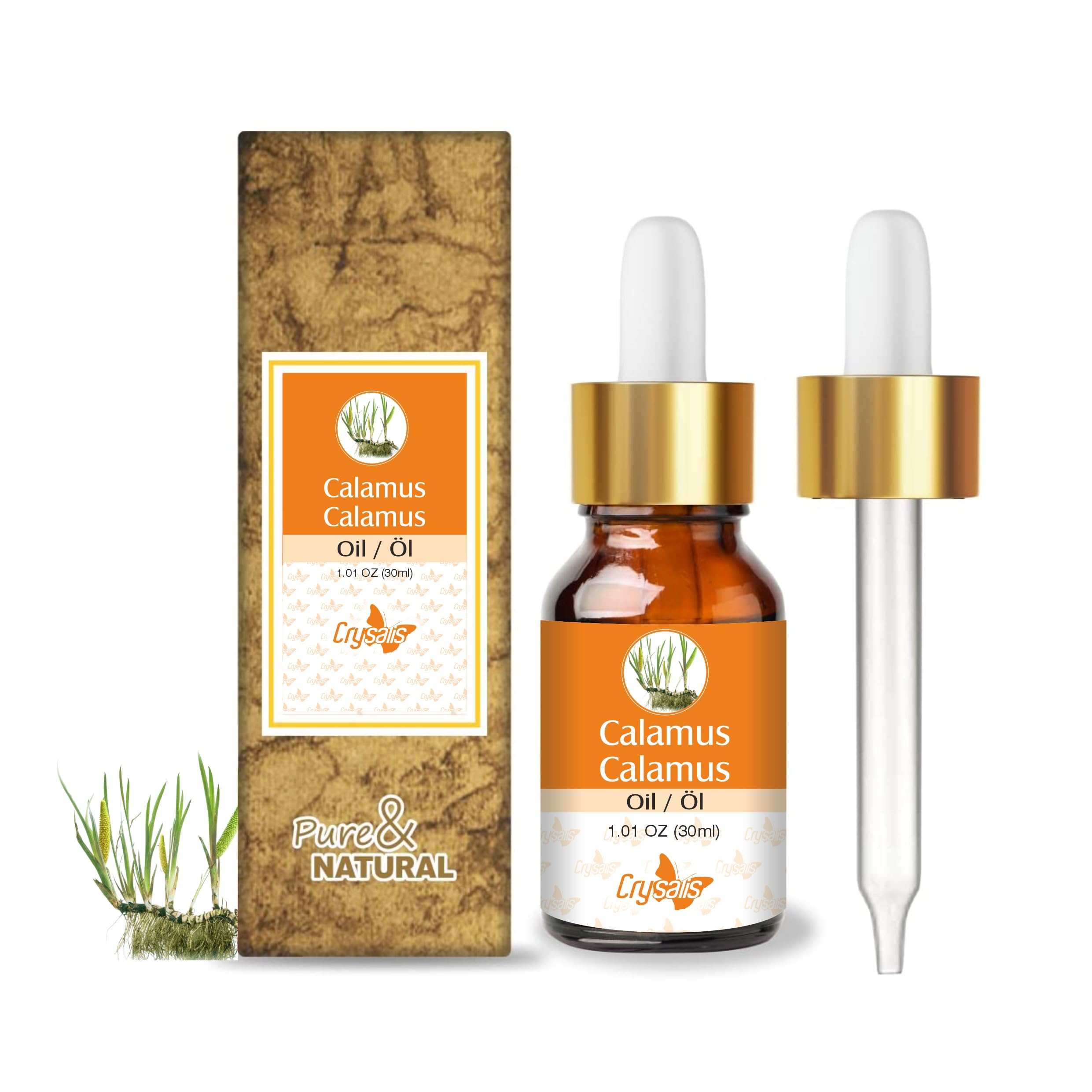 Crysalis Calamus (Acorus Calamus) Oil - 30ml/1.01 Fl oz
