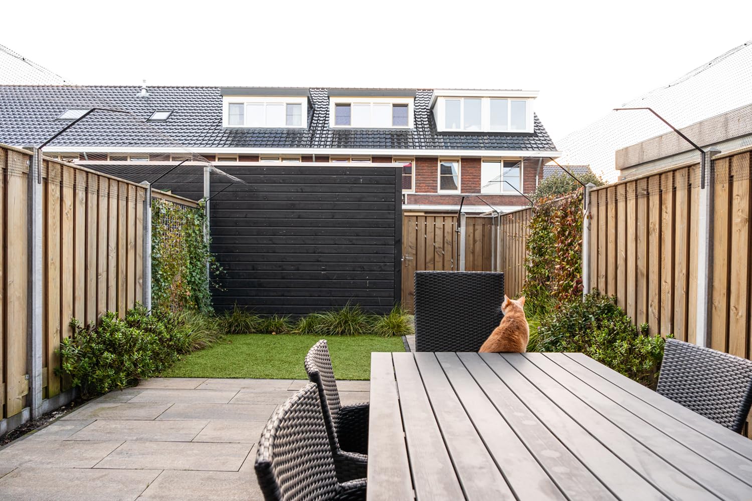 Kattengaas 1 x 10 Meter inklusive Halterungen - Vorteilsset