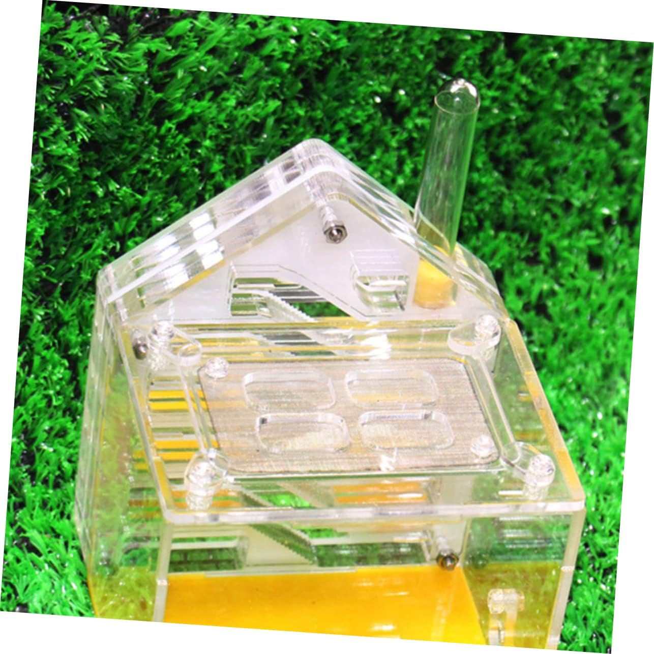 HEMOTON Kit for Boys and Girls Ant Acrylic Ant Breeding Box Lid Feeding and Storage Box