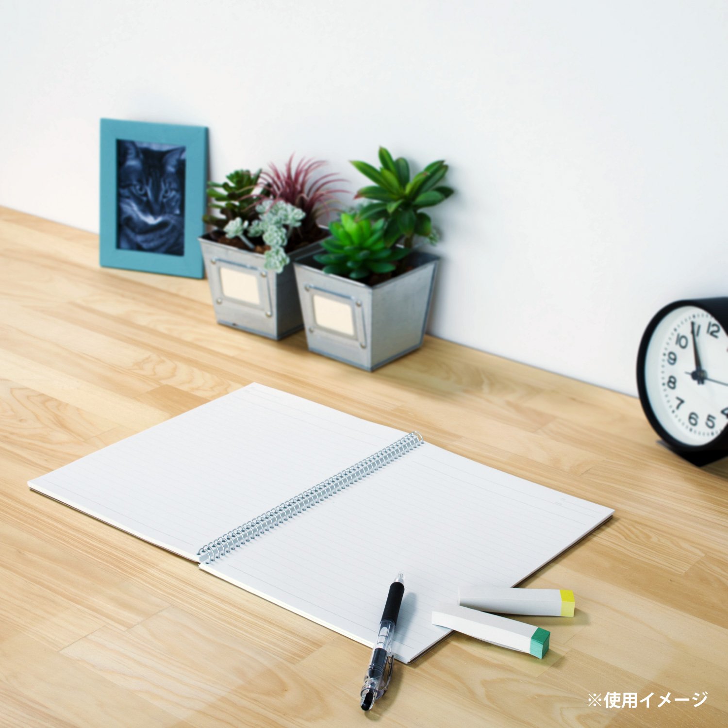 Snapklik.com : Maruman N256ES Ring Notebook, 0.3 Inches