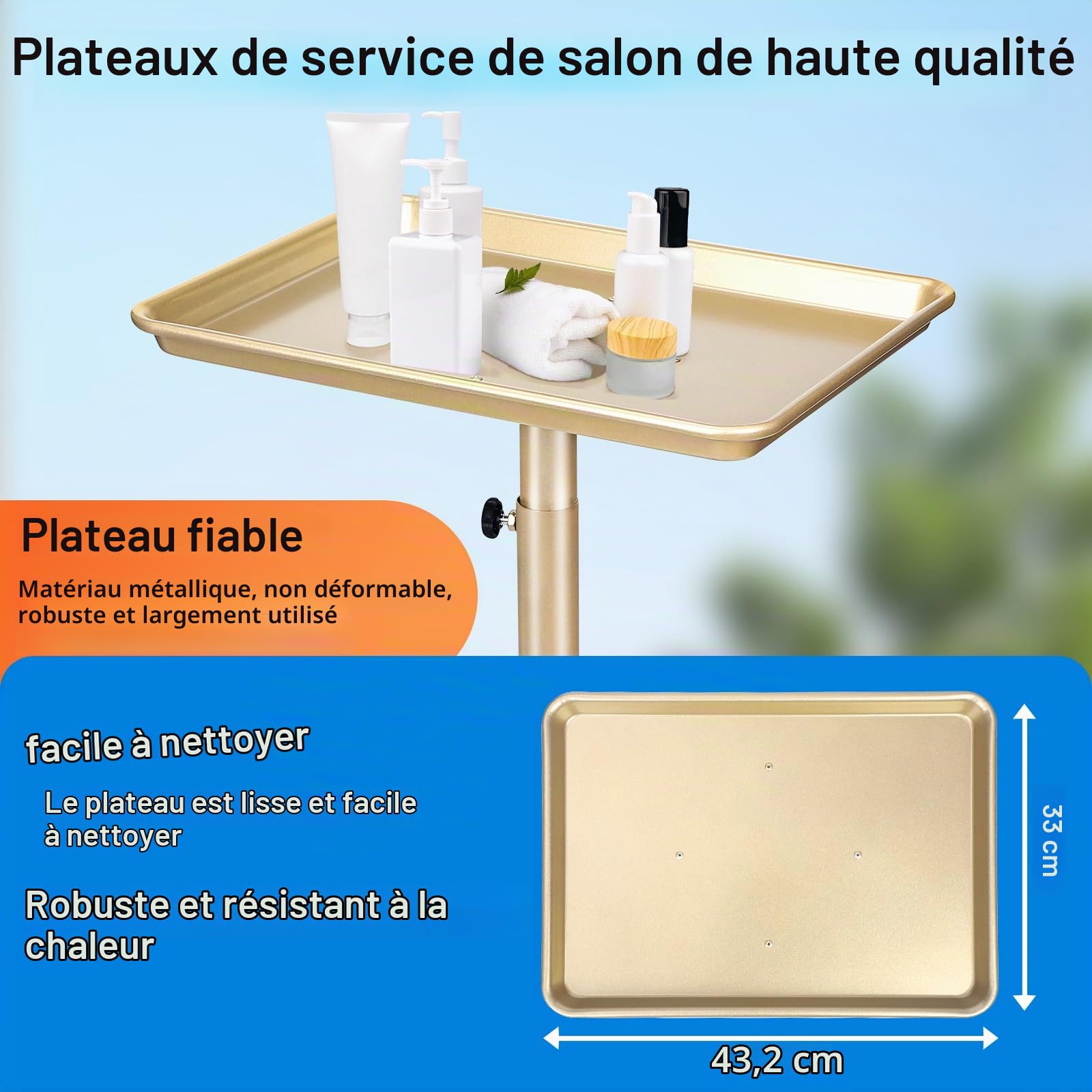 Plateau à roulettes pour salon de coiffeur avec hauteur réglable pour salon et spa, plateau de tatouage et plateau dentaire