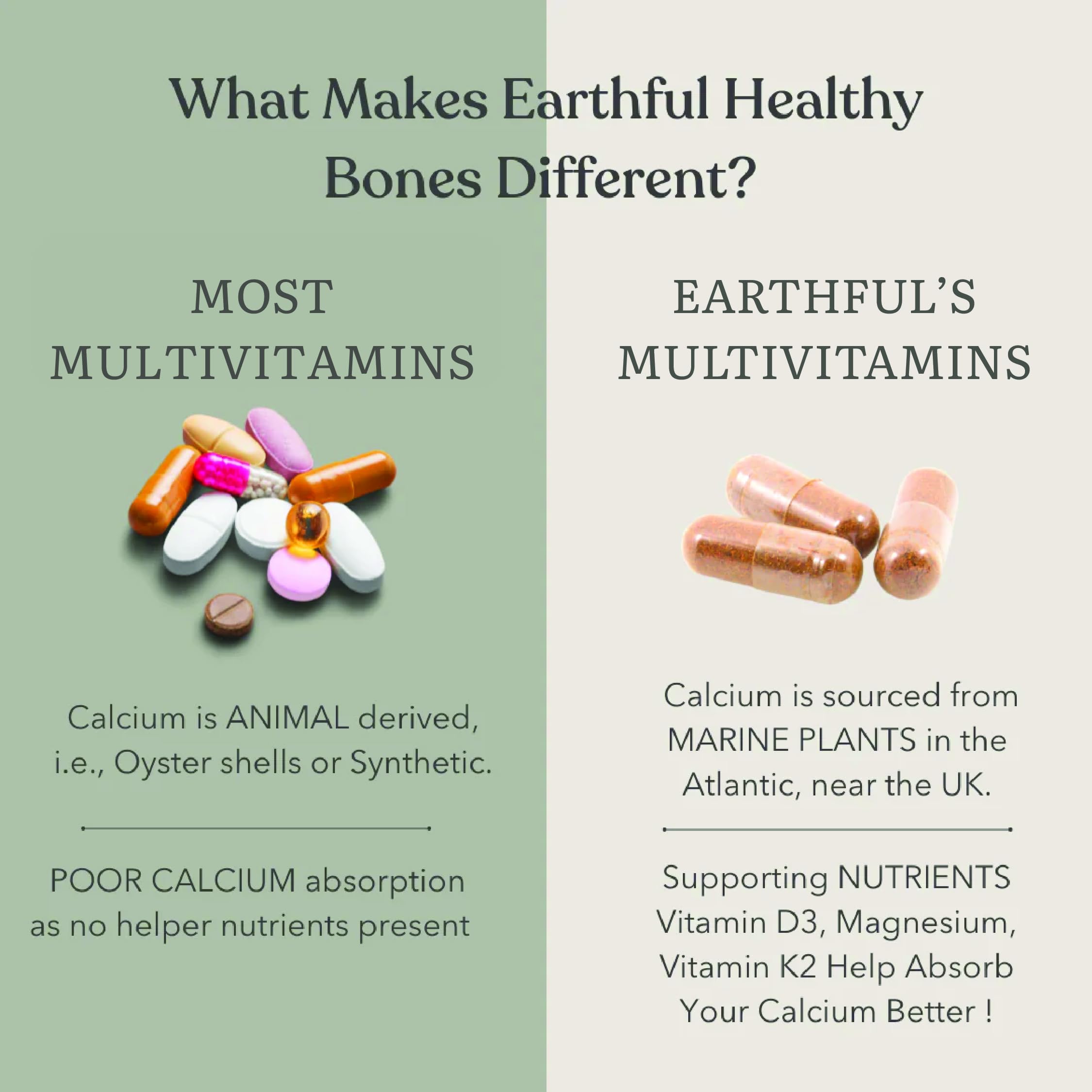 Earthful Multivitamin for Women 40+, 50+, Nearing Menopause | Improved Immunity, Hormonal Health, Skin, Hair & Bone Health | 100% Natural and Plant Based with 12 Vital Vitamins, Herbs | Pack of 2 — Amazon image 6