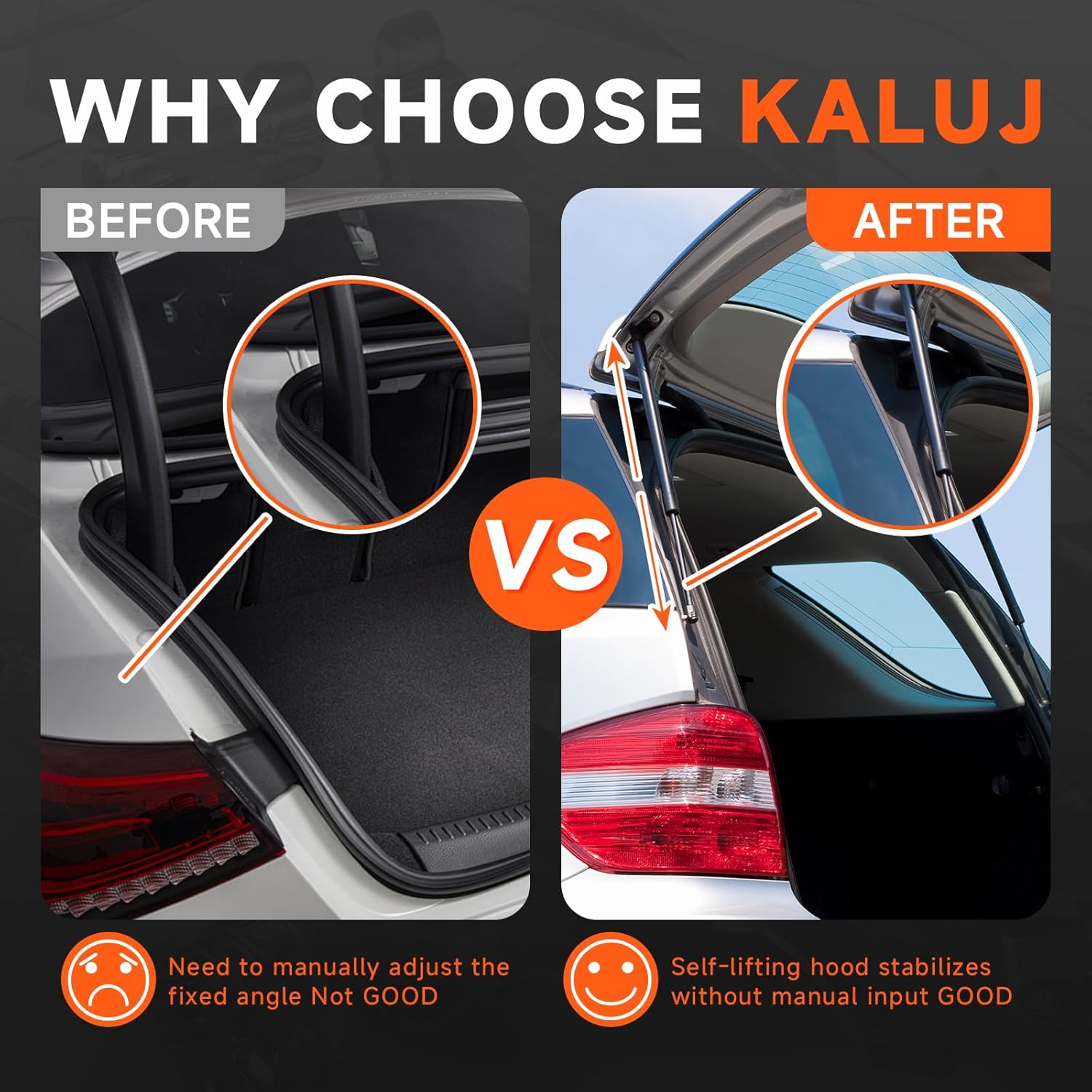 Rear Hatch Struts Lift Supports Compatible with Toyota 4Runner 2010-2023, OE 68907-0W091 Tailgate Liftgate Support Shock, 2PCS