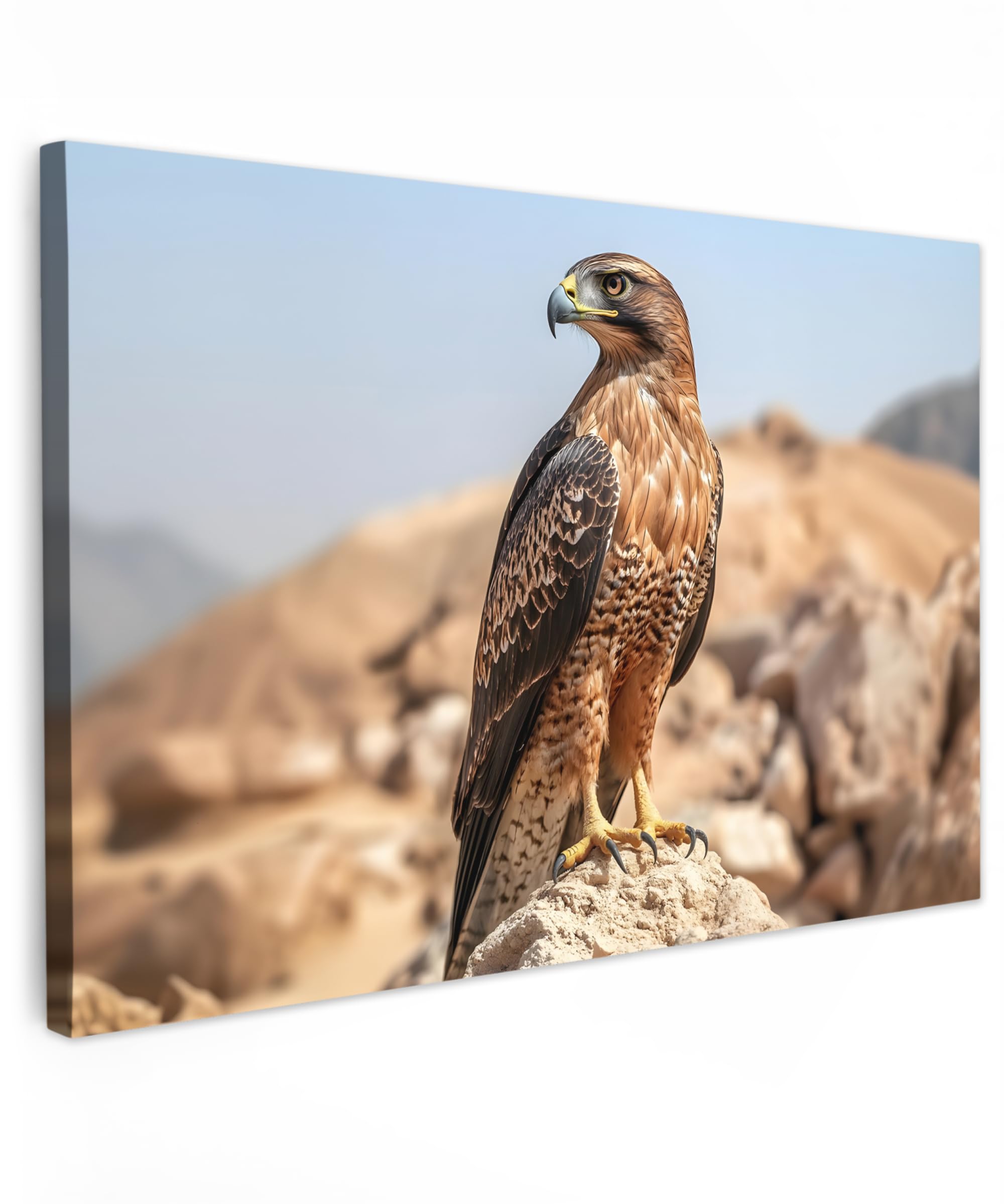 MuchoWow© Canvas Wall Art 47"x31" / 120x80 cm Decor Hanging Pictures for Living Room Canvus Artwork Deco Walls Falcon - Bird - Rock - Power