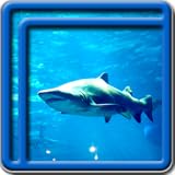 Überprüfen Sie die Sammlung von Live-Wallpaper Top-out