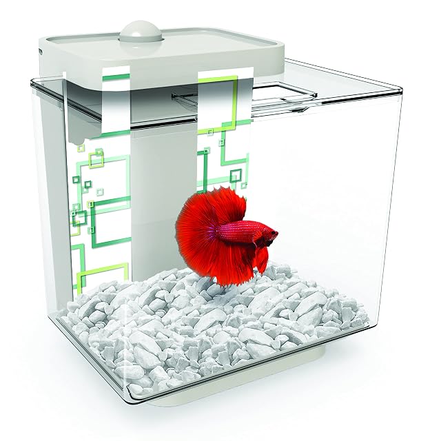 Foto 2 de 2 de Marina Marina Betta Ez Care Plus Kit 5 L Blanco 840 g