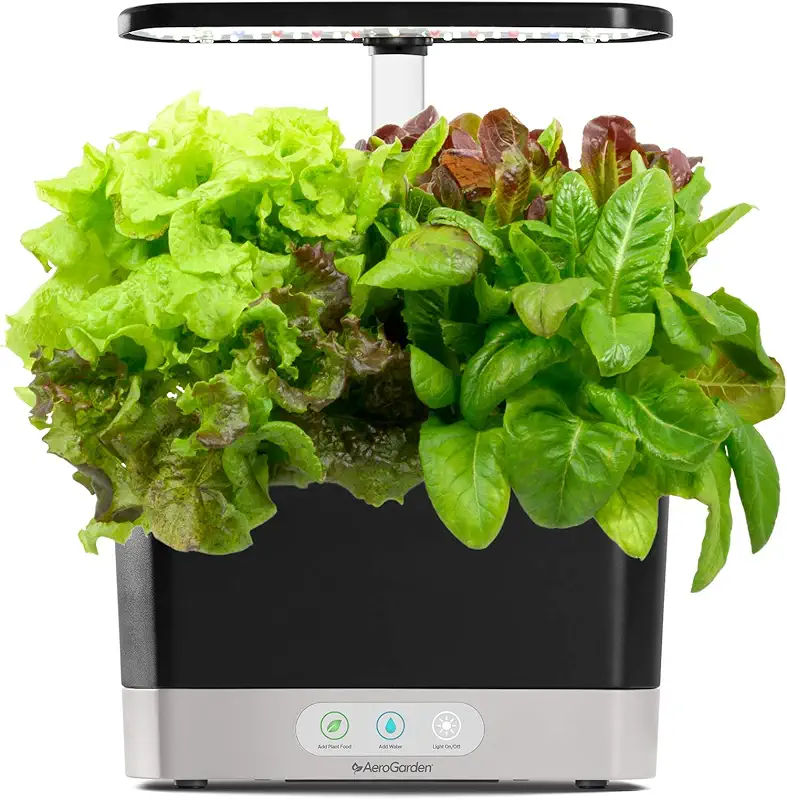 Smart garden Aerogarden with planted lettuce and basil.
