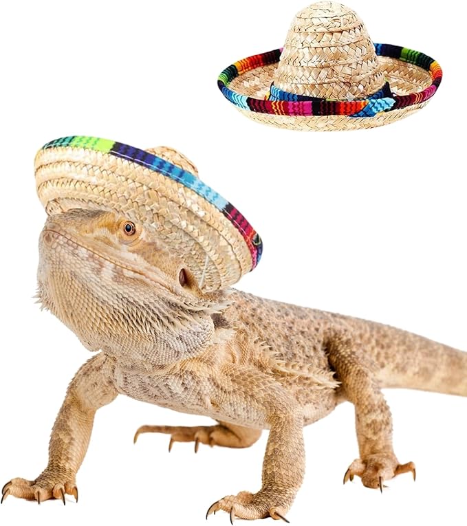 2 Pack Bearded Dragon Sombrero Hats - Lizard Cinco De Mayo Straw Hat with Adjustable Chin Strap Small Pet Mexican Costume Accessories for Reptile HamsterLeopard Gecko Ferret Guinea Pig (2 Pack)