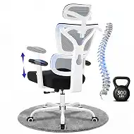 Ergonomic Office Chair, High Back Mesh Computer Chair with Comfortable Adaptive Lumbar Support, Built-in Coat Hanger, SGS Class 4 Gas Lift, Heavy Duty 300lbs for Long Hours Home Office