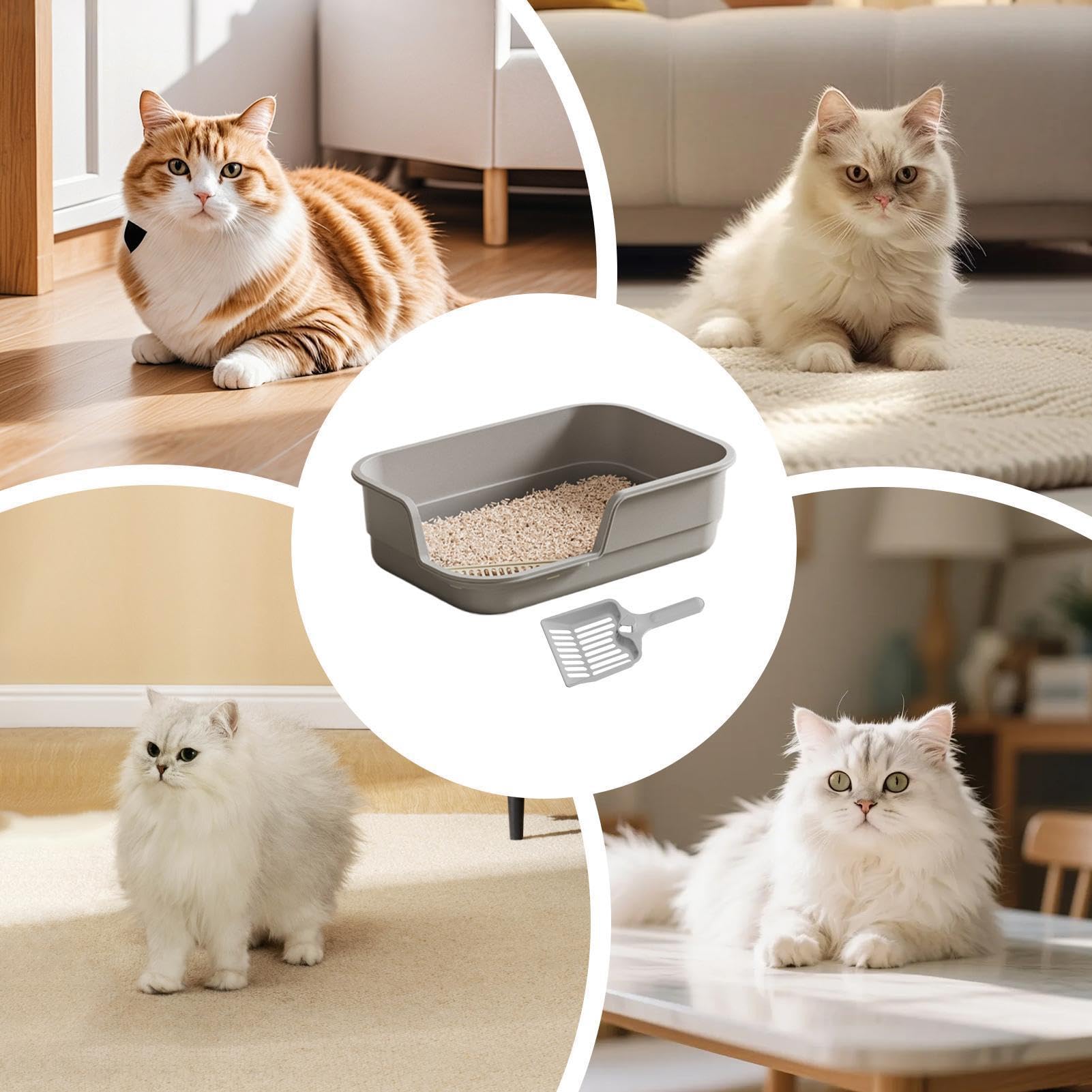 Lettiera per Gatti con Scoop incluso, Lettiera Aperta per Gatti con Bordo Alto a Spruzzo, Facile da Pulire e Resistente Agli Odori Per Gattini, Animali Domestici Anziani, Casa, Appartamento, Fattoria