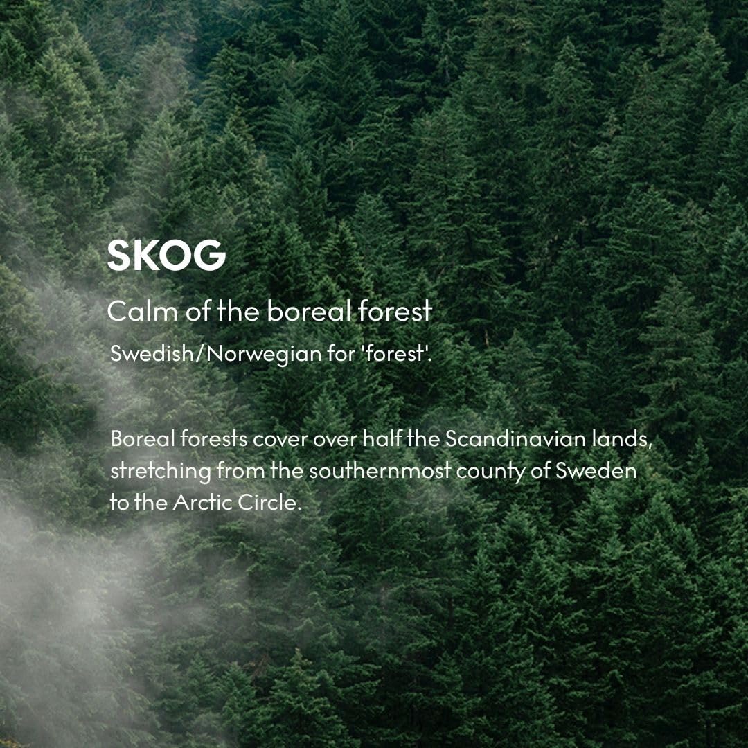 Skandinavisk Skog 'Forest' Vela perfumada con 2 mechas, edición especial, notas aromáticas: agujas de pino y conos de abeto, savia de abedul y lirio de los valles, fórmula vegana, 350 g