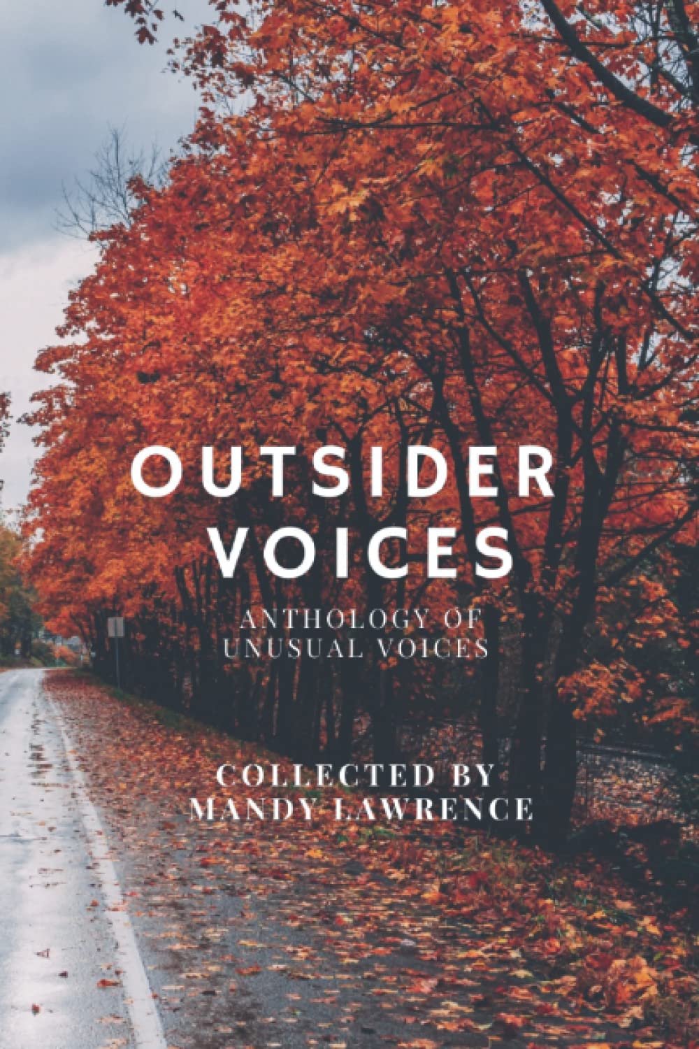 Outsider Voices: An Anthology of Voices Not Usually Heard